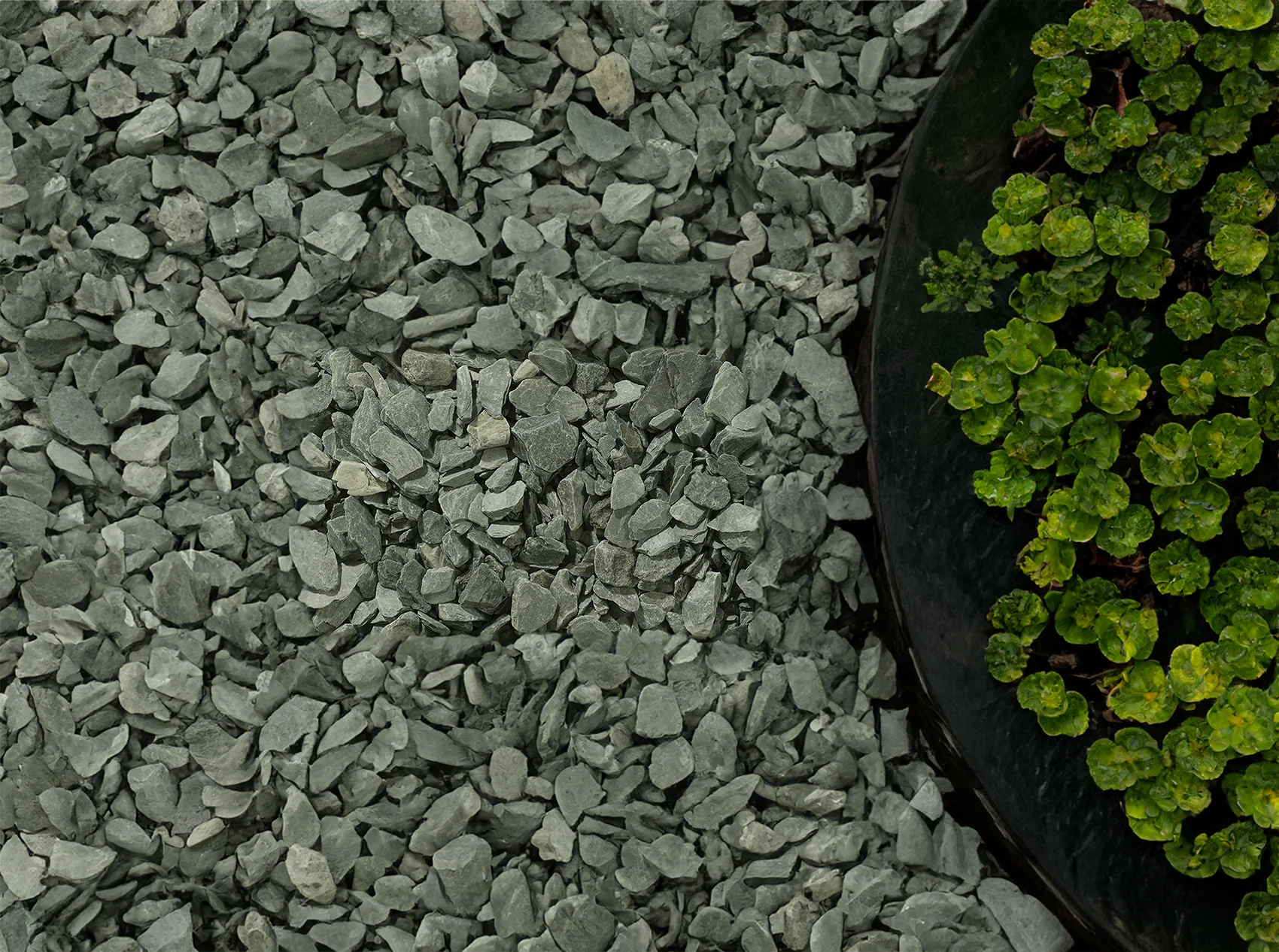 20mm Green Slate Chippings - Image 4