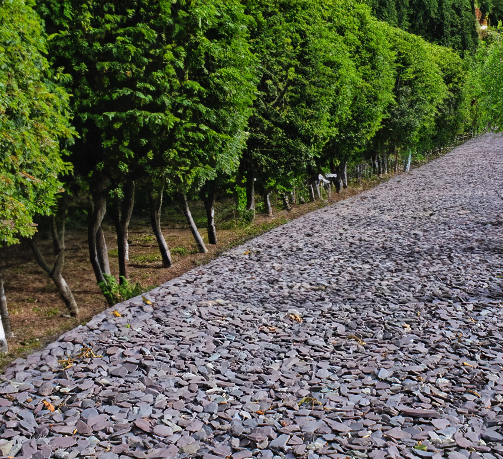 20mm Plum Slate Chippings - Image 5